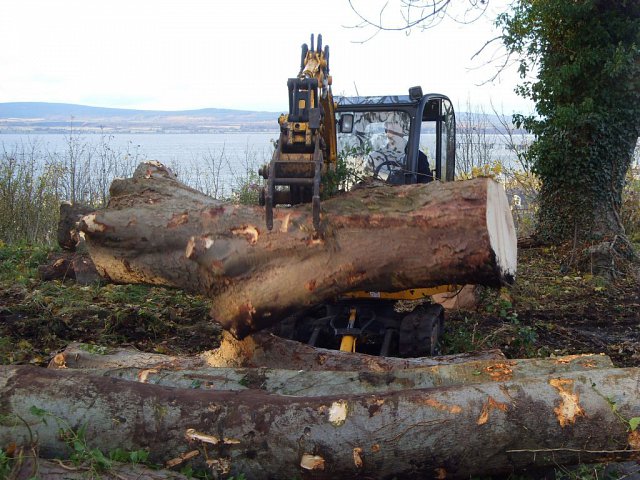 digger-staking-timber1