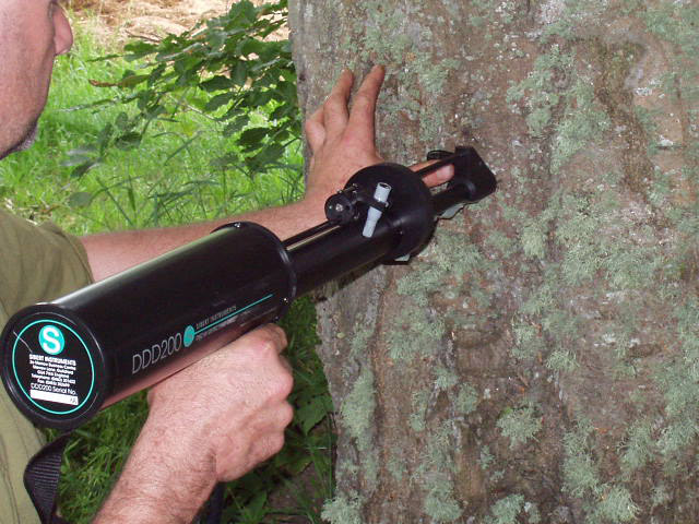 DDD 200 Decay Detecting Drill