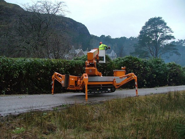 hedge-trimming-achfary-1