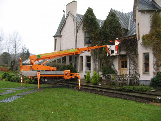 removing-ivy-from-lodge
