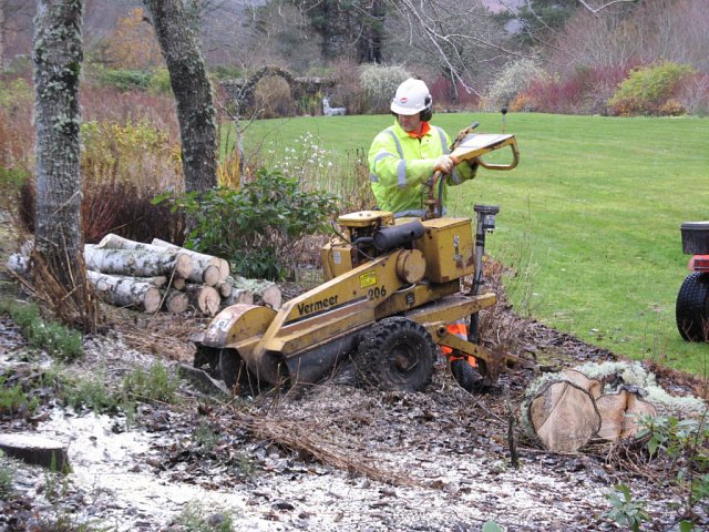 stumpgrinder-working-glencalvie-1