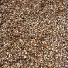 woodchips 1 week